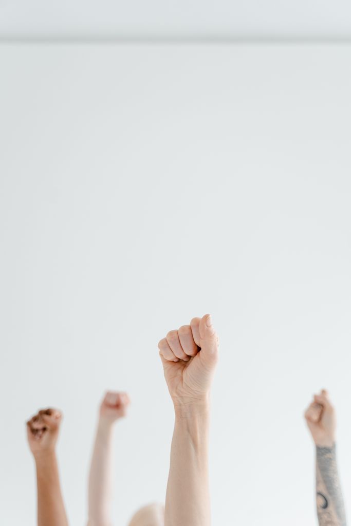 Group of diverse hands raising fists in unity against a plain white background.
